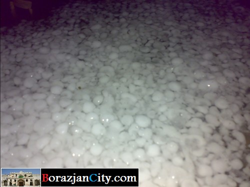 تگرگ در برازجان