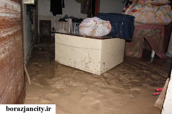 خسارت بارندگی در برازجان