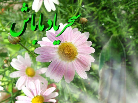 سحریادماباش