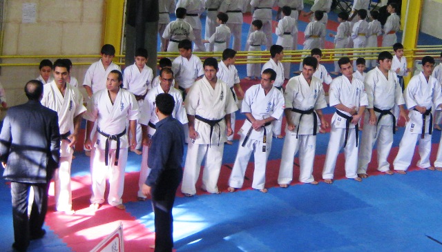کیوکوشین برای همه