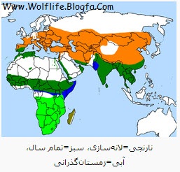 Hoopoe-Area_Map