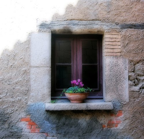 من از عطر آهسته هوا میفهمم تو بايد تازهگیها از اينجا گذشته