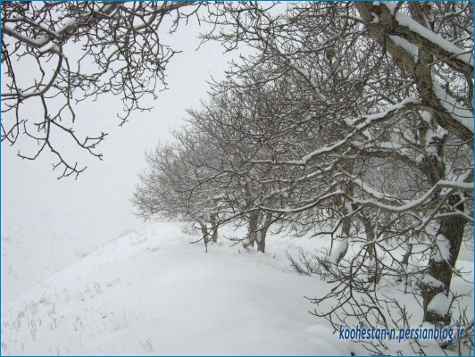 مسیر دشت هویج در زمستان
