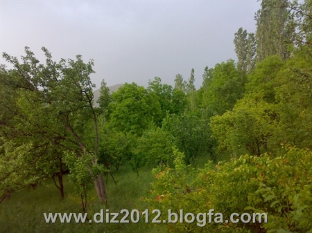 http://s2.picofile.com/file/7597422361/201202292054.jpg