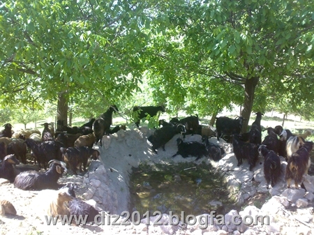 http://s2.picofile.com/file/7612550107/201203011152.jpg