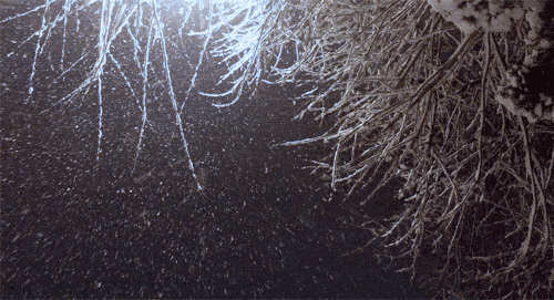 http://s2.picofile.com/file/7619192903/gifs_0452.gif