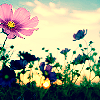 آیکونــــ هاے سلنــا-تمــ