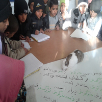 تدریس واقعی