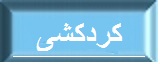 كردكشی