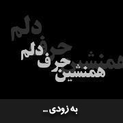 علی زیبایی - دانلود آهنگ همنشین حرف دلم