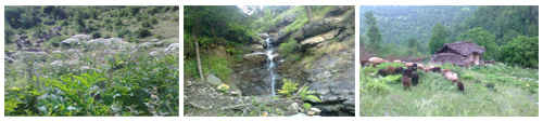 www.BandpaySH.BLogfa.com