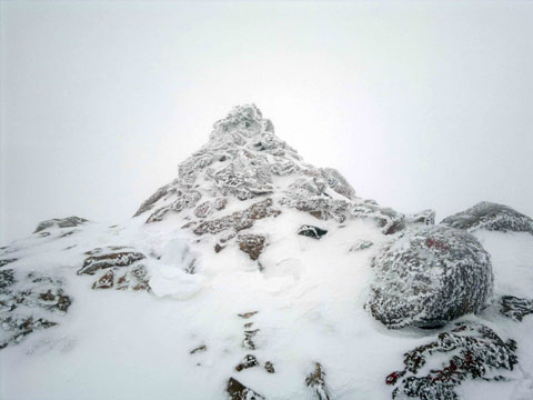 http://s2.picofile.com/file/7641218923/2013_02_01_052.jpg