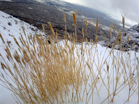 http://s2.picofile.com/file/7641220428/2013_02_01_071.jpg