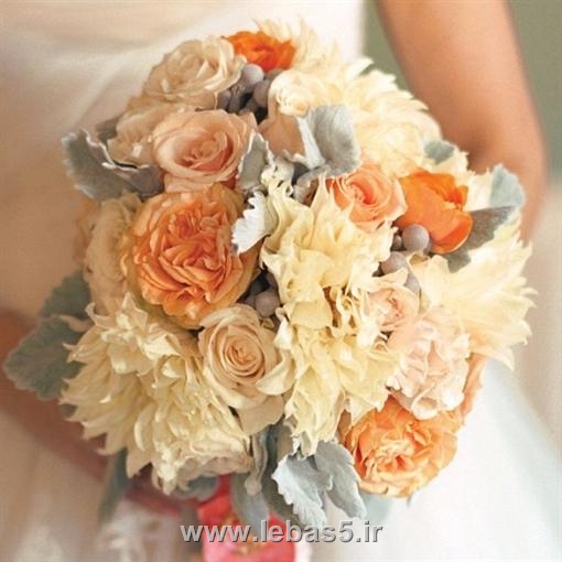 http://lebas5.ir