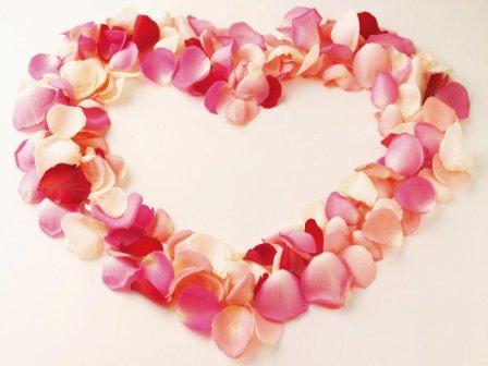 [تصویر: Flowers_Valentine.jpg]