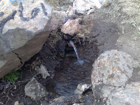 http://s2.picofile.com/file/7658477418/bistoum_109_.jpg
