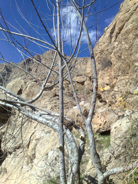 http://s2.picofile.com/file/7661157311/Image1402.jpg