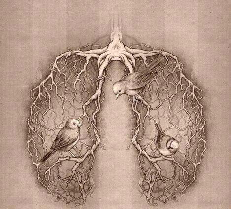 http://s2.picofile.com/file/7661756769/182691_609855409040176_1264629201_n.jpg