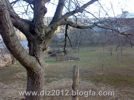 http://s2.picofile.com/file/7673961612/20131122406.jpg