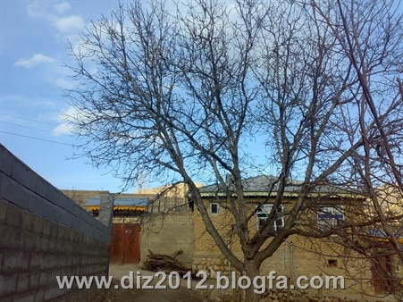 http://s2.picofile.com/file/7673968816/20131122407.jpg