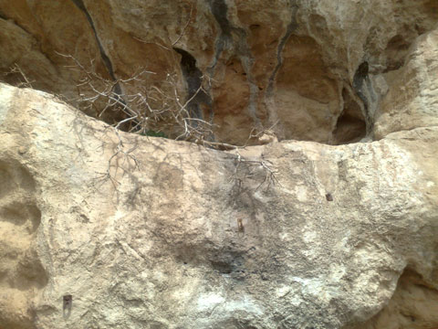 http://s2.picofile.com/file/7675530963/20131211180.jpg