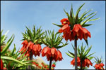 kinoo.rozfa.com