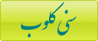 سنی کلوب (جامعه مجازی اهل سنت)