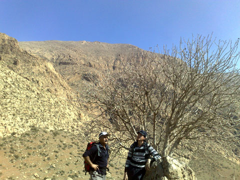 http://s2.picofile.com/file/7677969779/20131213216.jpg