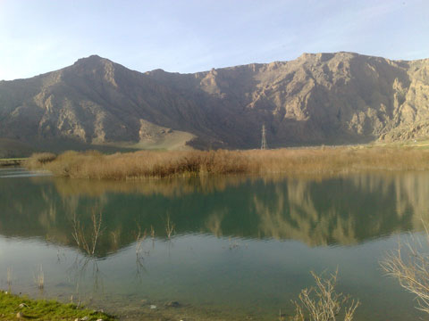 http://s2.picofile.com/file/7678003652/20131213267.jpg