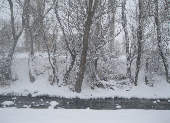 فندقلو_3.jpg (655×474)