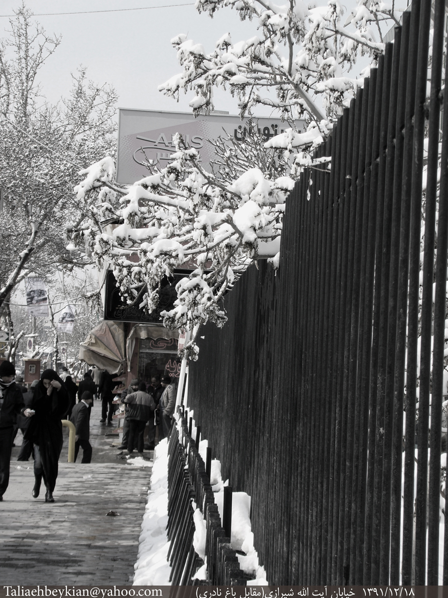 http://s2.picofile.com/file/7684425371/Gozar_dar_Barf.jpg