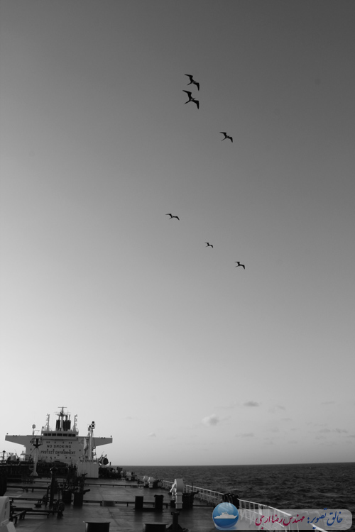 دریا ؛ کشتی ؛ مرغ دریایی بر فراز آسمان