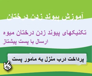 فیلم آموزشی روشهای پیوند زدن درختان میوه-تکنیکهای پیوند زدنی درختان-ارسال فیلم آموزشی با پیست پیشتاز و پرداخت هزینه فیلم درب منزل به مامور پست | 09191812812 | 09189184598