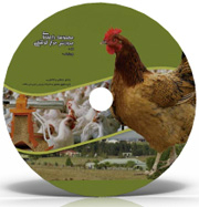 راهنمای جامع پرورش مرغ گوشتی و مرغ تخمگذار