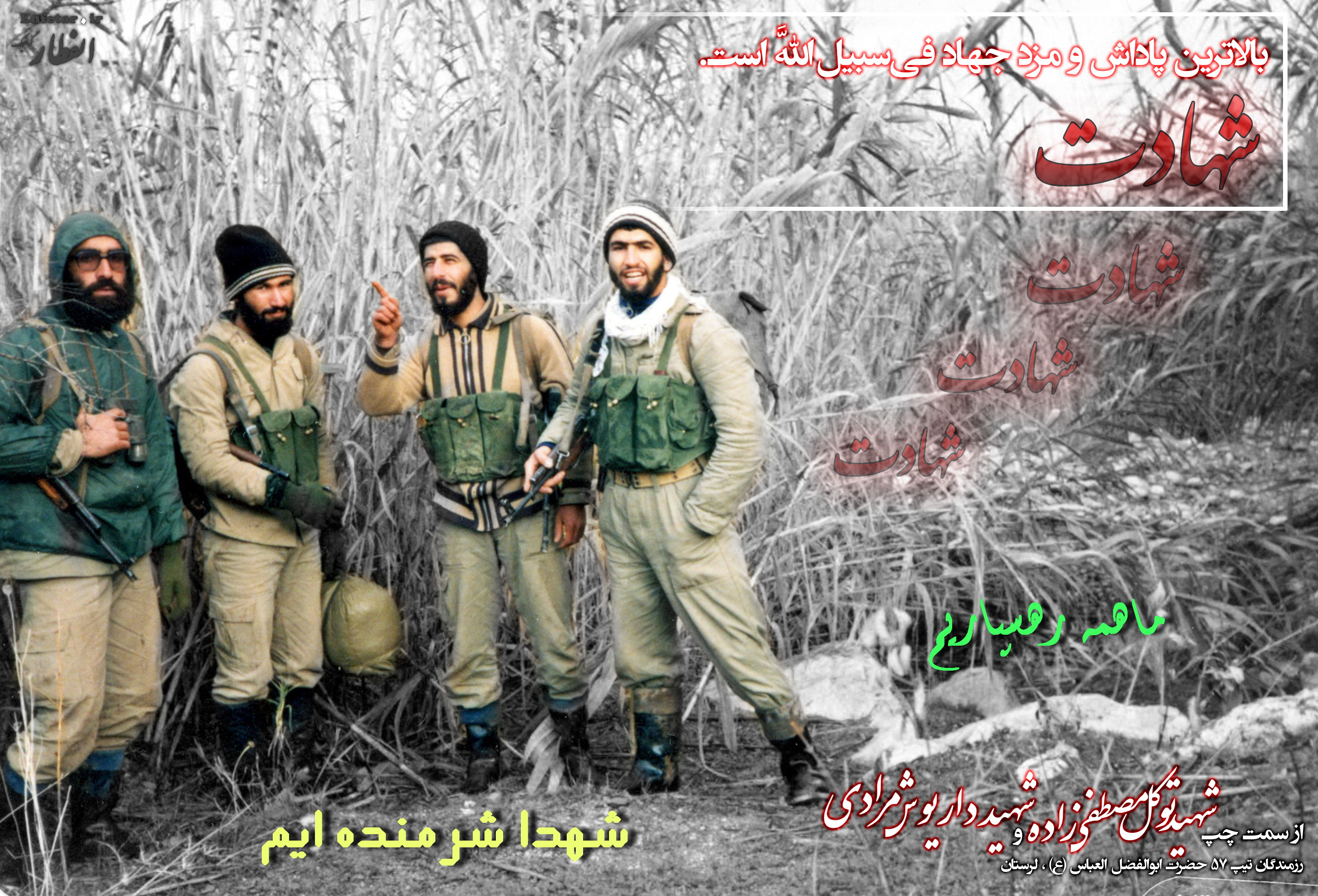 http://s2.picofile.com/file/7696269137/tavakol_moradi.jpg