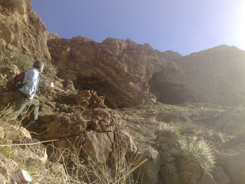 http://s2.picofile.com/file/7697143117/20131229373.jpg