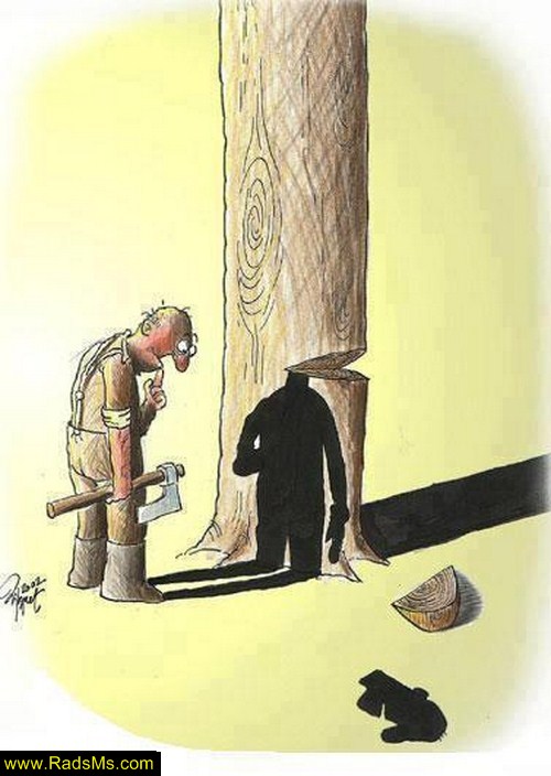 Caricator_radsms_27.jpg