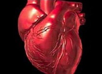 واجب بودن آزمایش «تحمل قند» در افراد مستعد بیماری‌ قلبی 1