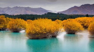 دانلود والپیپر طبیعت