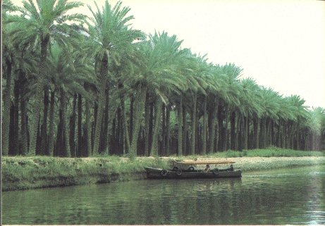 http://s2.picofile.com/file/7728716127/%D8%B4%D8%B7_%D8%A7%D9%84%D8%B9%D8%B1%D8%A8_1.jpg