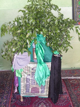 http://s2.picofile.com/file/7729593224/SDC11281.jpg
