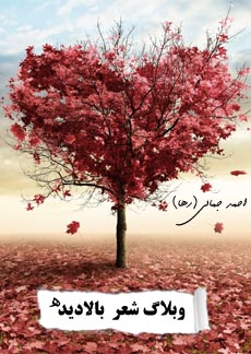 بالادیده