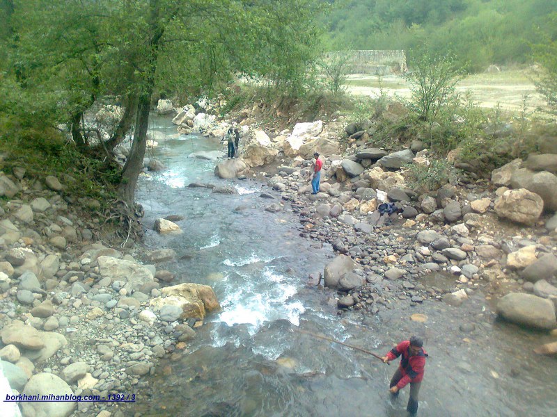 http://s2.picofile.com/file/7778432682/%D9%85%D8%A7%D9%87%DB%8C_%DA%AF%DB%8C%D8%B1%DB%8C_%D8%AF%D8%B1_%D9%84%D9%81%D9%88%D8%B1.jpg