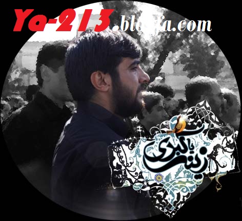 شام شهادت حضرت زینب علیها سلام - حسین عینی فرد وسید علی فالی