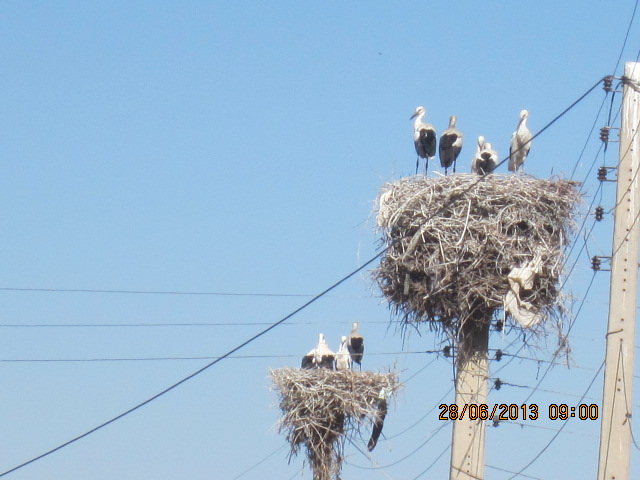 http://s2.picofile.com/file/7825269244/IMG_3580.jpg