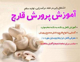 خرید اینترنتی پکیج کامل و جامع آموزش پرورش قارچ دکمه ای و صدفی