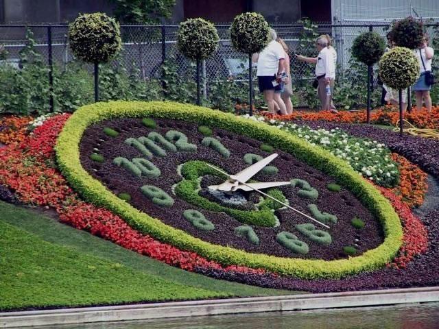 The height of creativity