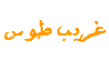 غریب طوس