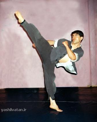 http://s2.picofile.com/file/7899138381/45.jpg