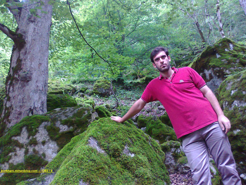 http://s2.picofile.com/file/7899525050/%D8%BA%D8%B1%DB%8C%D8%A8%DB%8C_%D8%8C_%D8%AF%D8%B1%D8%AF_%D8%A8%DB%8C_%D8%AF%D8%B1%D9%85%D9%88%D9%86.jpg